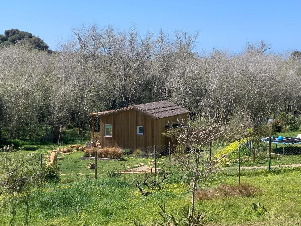 Cabana Casaotto Los Canos De Meca Εξωτερικό φωτογραφία